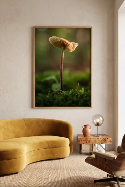 Interior view: Mushroom in moss: nature poetry