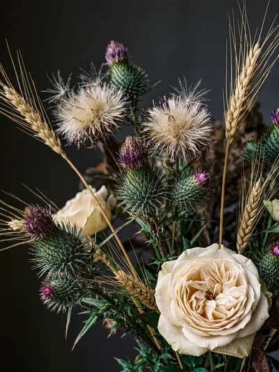 Wall art: Quiet thorns: a wabi-sabi thistle still life